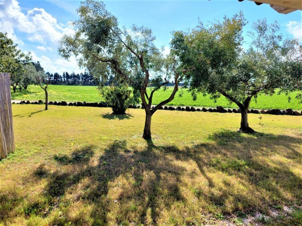 Appartamenti Sisula Manna Orosei Esterno foto